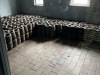 Gross-IMG_4849